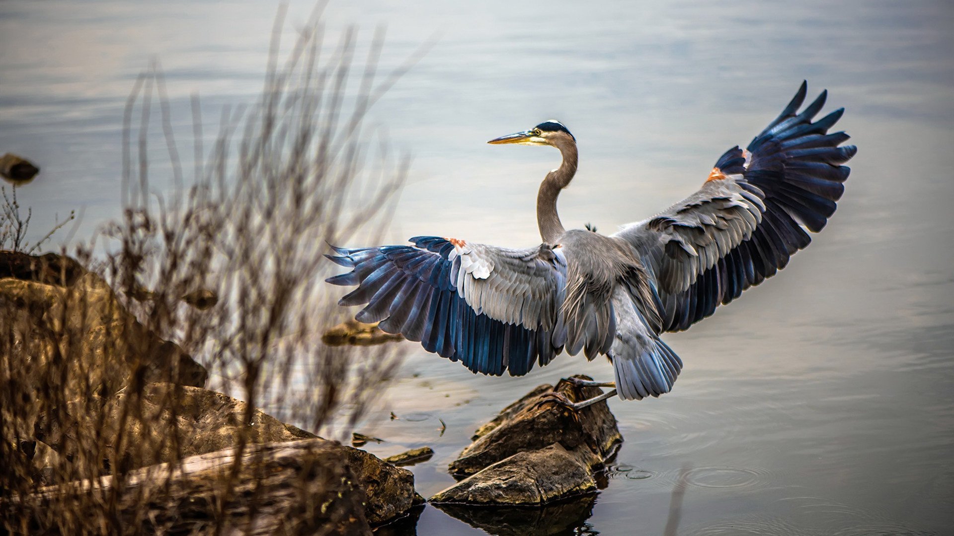_盛大的年度巡回赛:激情点燃球迷心_,盛大活动