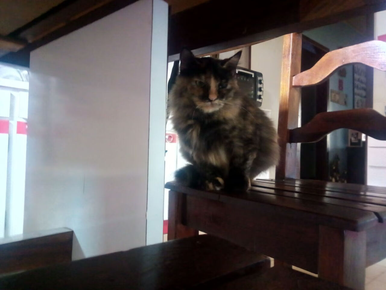 开云体育网页版入口-国际乒乓球赛事变革，推行新赛制引热议，国际乒乓球团体赛制为