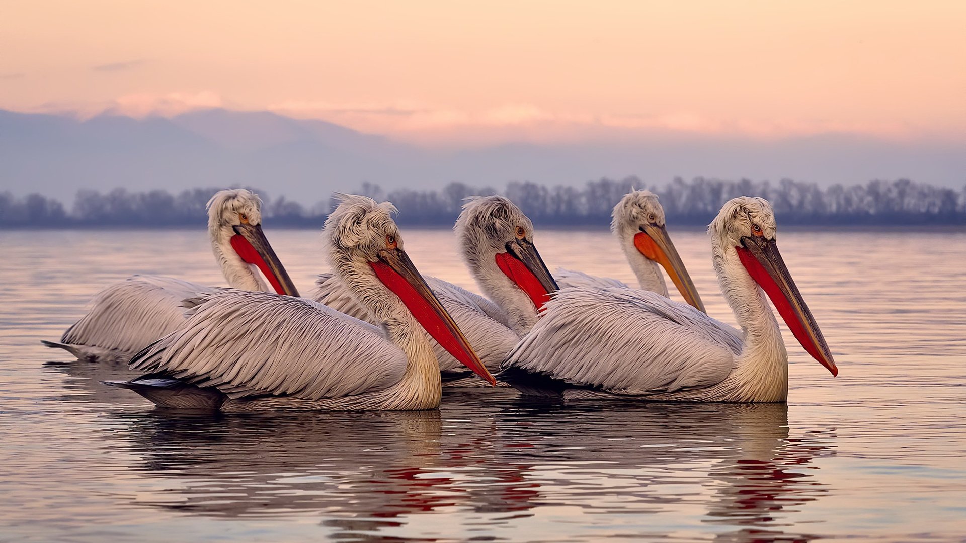 开云在线直播-利物浦在欧冠比赛中迎来关键战役，目标荣耀