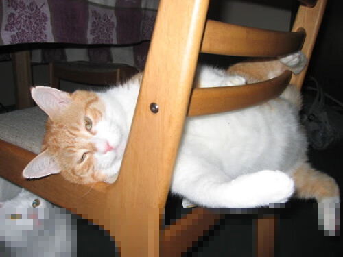 Kaiyun官方登录入口-英超高潮不断：逆转、绝平、黄金瞬间层出不穷，英超有多激烈