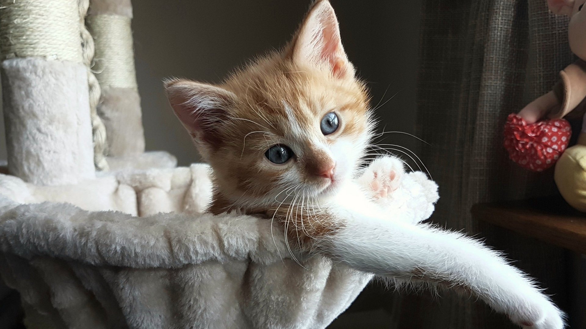 kaiyun-英超最激烈对决：悬念升腾，精彩纷呈！，英超敌对关系